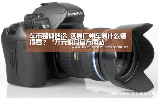 车市整体遇冷 这届广州车展什么值得看?‘开元体育官方网站’(图1) 开元体育官方网站