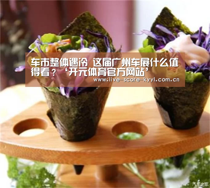 车市整体遇冷 这届广州车展什么值得看?‘开元体育官方网站’(图4) 开元体育官方网站