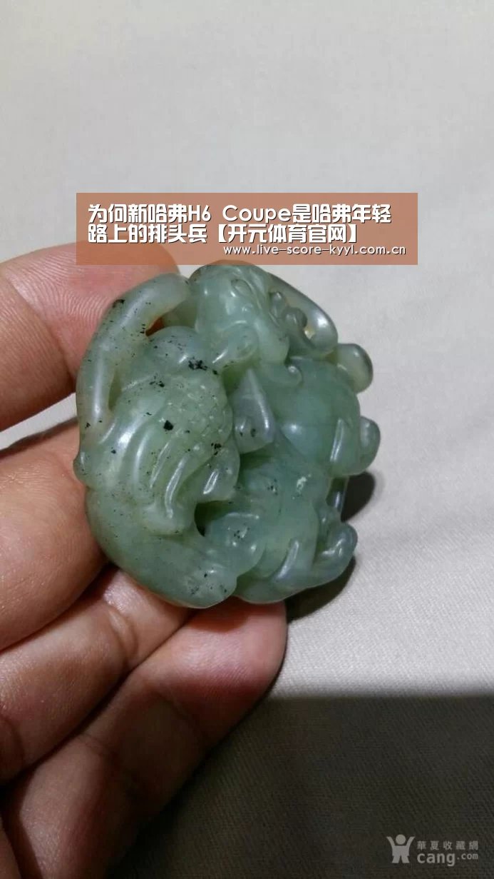 为何新哈弗H6 Coupe是哈弗年轻路上的排头兵【开元体育官网】(图1) 开元体育官网