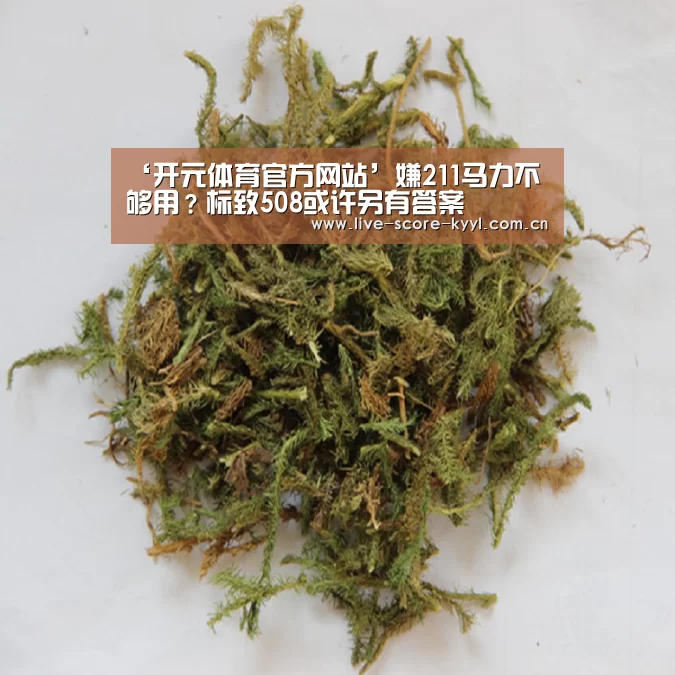 ‘开元体育官方网站’嫌211马力不够用?标致508或许另有答案(图4) 开元体育官方网站