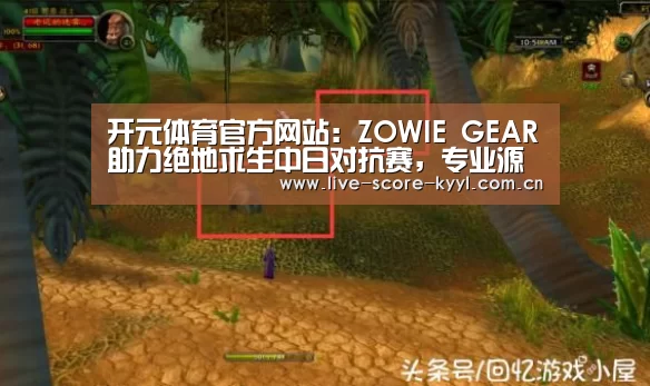 开元体育官方网站