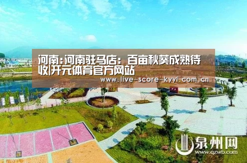 开元体育官方网站