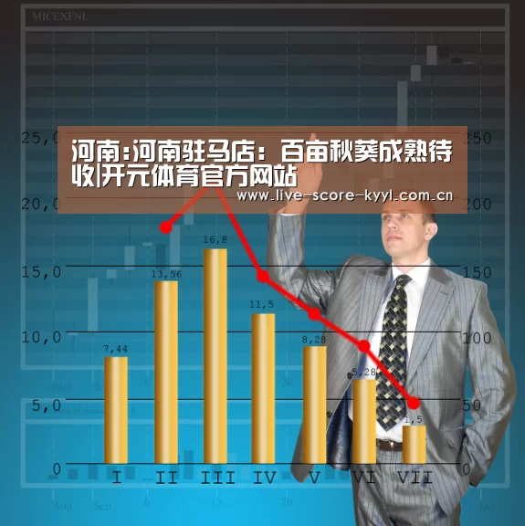 开元体育官方网站