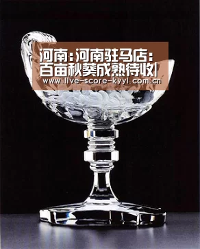 开元体育官方网站