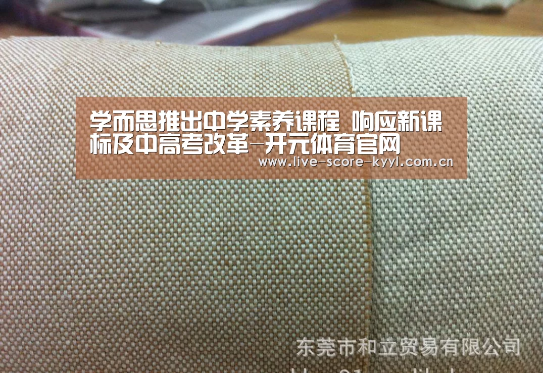 开元体育官方网站