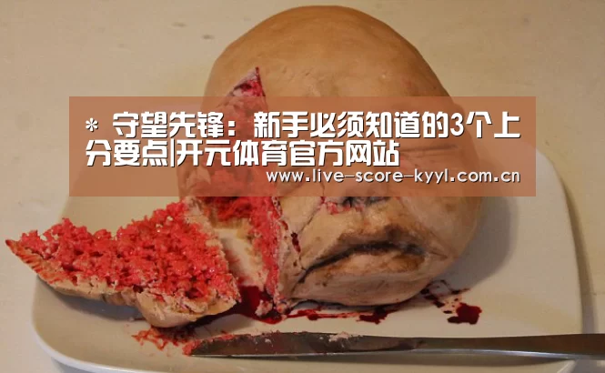*
守望先锋:新手必须知道的3个上分要点|开元体育官方网站(图3) 开元体育官方网站
