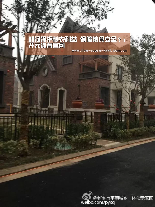 如何保护粮农利益 保障粮食安全?:开元体育官网(图3) 开元体育官网
